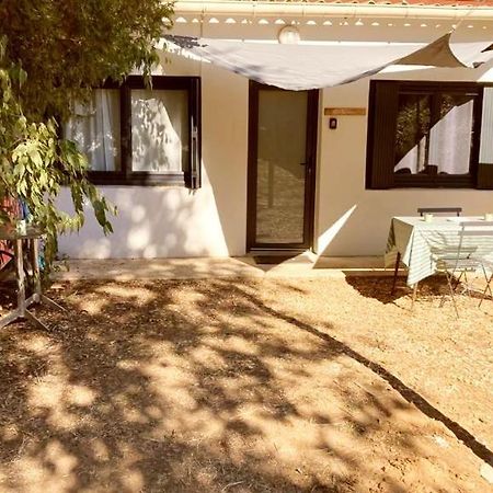 Superbe Appartement Boheme Dans Les Vignes 尼姆 外观 照片