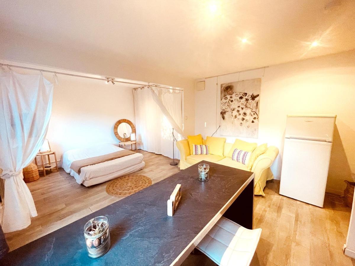 Superbe Appartement Boheme Dans Les Vignes 尼姆 外观 照片